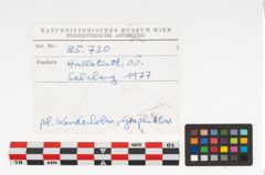 Foto von Keramikgefäß (NHMW-PRAE-085730)
